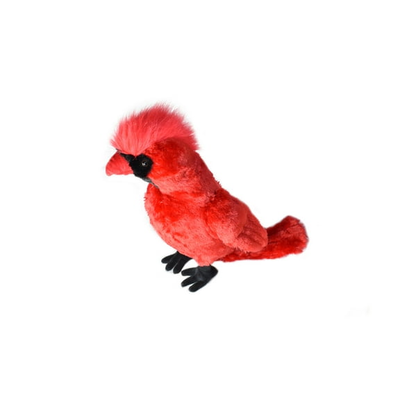 Cardinal, Bird, Northen, Cardinal-grosbeaks, Realistic, Lifelike, Stuffed, Bird, Soft, Toy, Educational, Animal, Kids, Gift, Very Nice, Plush Animal, 20" FT04 BB64