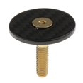thumbnail image 4 of 1 Paquete de Tapa para Auriculares, Horquilla para Auriculares, con Apariencia de Carbono, Tapa Delantera, Cubierta para Auriculares dorado, 4 of 7
