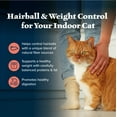 thumbnail image 5 of Blue Buffalo Wilderness Dry Cat Food, Weight and Hairball Control, Chicken, 4-lb. Bag, 5 of 12