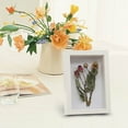 Shadow Box 4x6 Picture Frame with HD Plexiglass Deep Wood Memory Box
