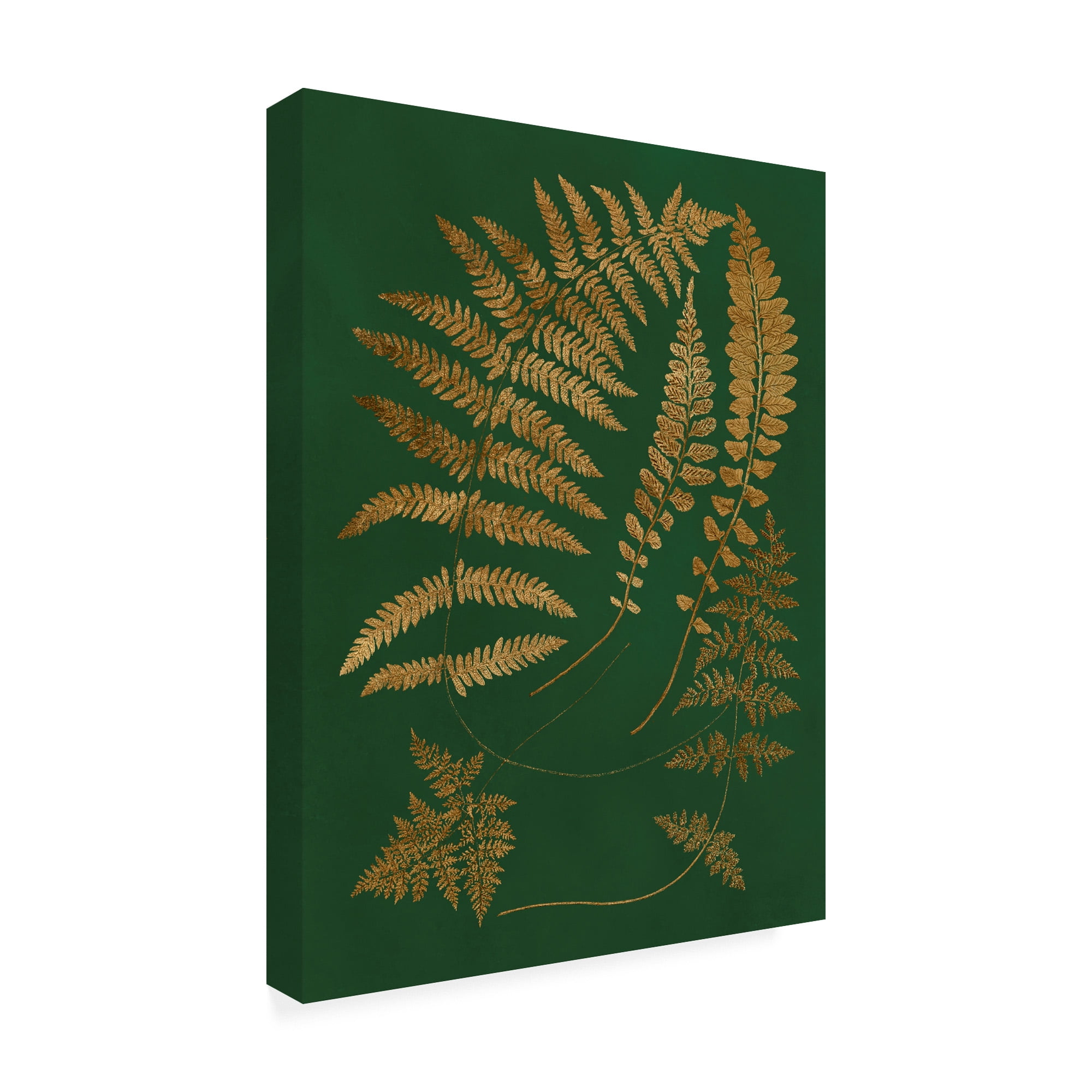 Trademark Fine Art 'Gilded Ferns III' Canvas Art by Vision Studio