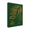 thumbnail image 2 of Trademark Fine Art 'Gilded Ferns III' Canvas Art by Vision Studio, 2 of 3