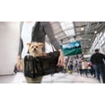 thumbnail image 4 of Sherpa Travel Original Deluxe Airline Approved Pet Carrier - Medium, Black Lattice Stitching, 4 of 10