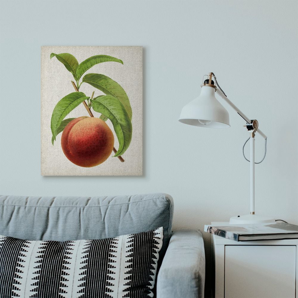 Stupell Industries Vintage Fruit Peach Painting Canvas Wall Art by Vision Studio