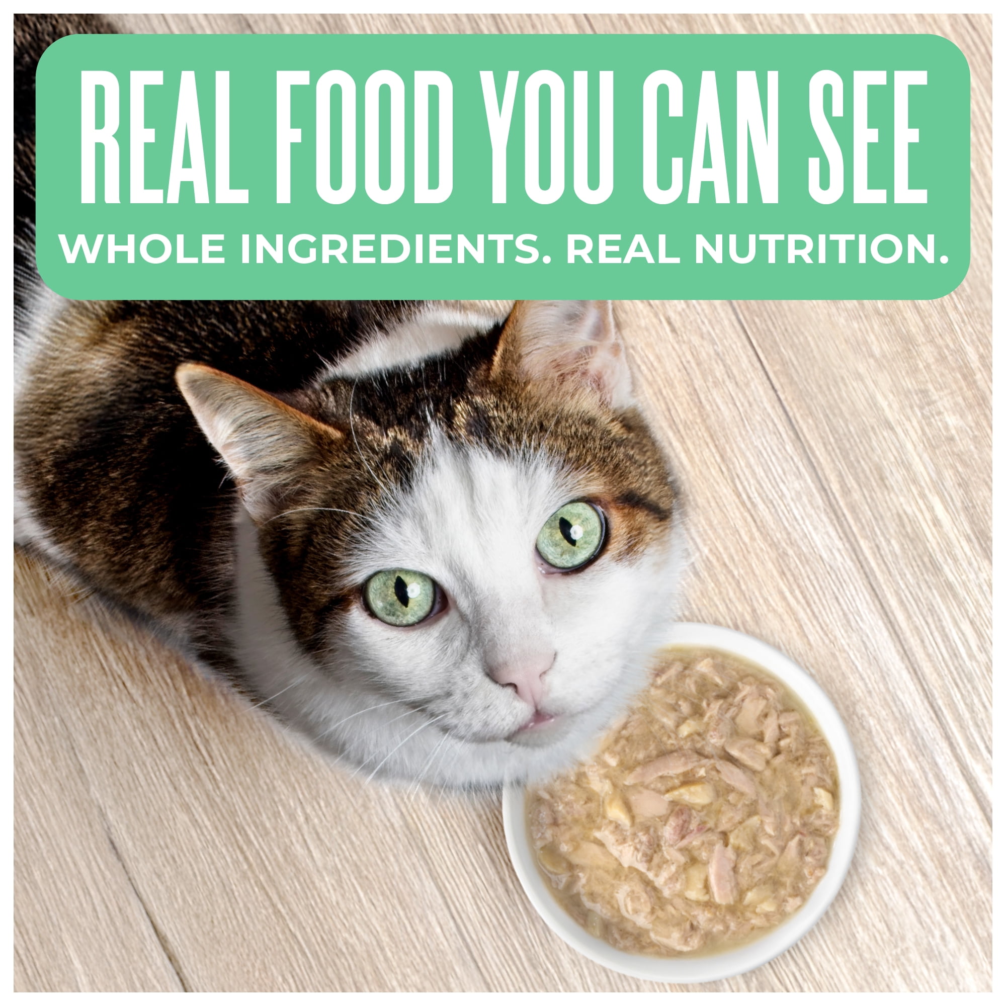 Tiki Cat Born Carnivore Wet Cat Food, Tuna & Seabass Recipe in Tuna Broth, 2.4 oz. Can