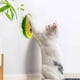 thumbnail image 5 of Cepillo de aseo para gatos con forma de guisante | Cepillo interactivo de masaje con hierba gatera para eliminar el pelo suelto | Cerdas de plástico suaves para pelo corto y largo | Fácil de, 5 of 6