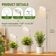 thumbnail image 4 of Fyniora Plant Grow Light-2 Pack, Full Spectrum LED Plant Light for Indoor Plants, Height Adjustable Growing Lamp with Auto on/off Timer 3/9/12H, 10 Dimmable Brightness, Ideal for Small Plants, White, 4 of 8