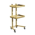 thumbnail image 3 of Carro con bandeja rodante para salón de belleza, carrito para estilistas, carrito de almacenamiento para salones de belleza y estudios. Oro, 3 of 9