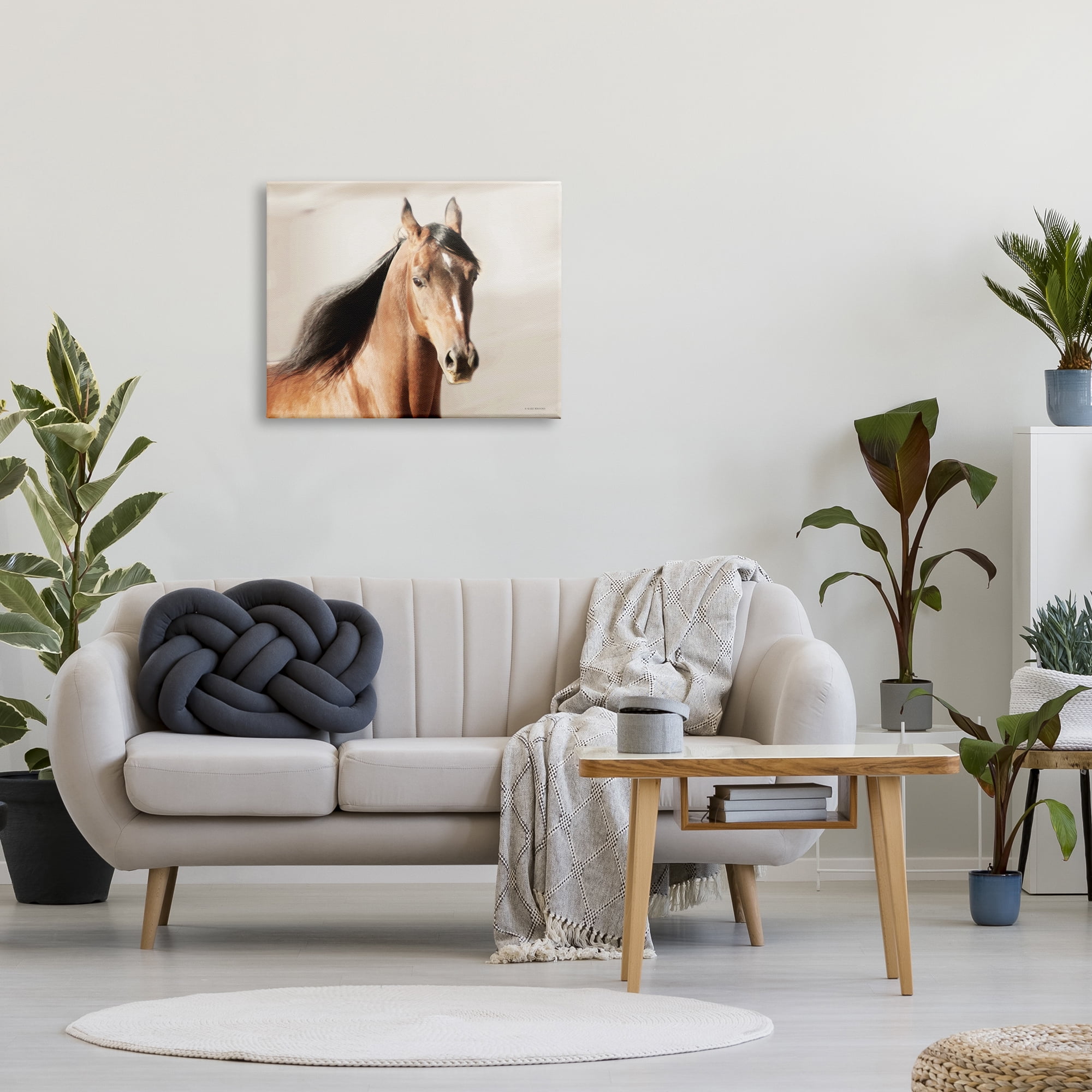 Stupell Industries Brown Stallion Portrait Animals & Insects Photography Gallery Wrapped Canvas Print Wall Art, 30 x 24