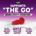 thumbnail image 6 of Fiber Gummies 4g - Sugar Free Fiber Gummy Supplement for Adults, Daily Prebiotic Gummy Digestive Health Support - Plant Based Soluble Chews, Prebiotics Supports Regularity & Digestion - 60 Gummies, 6 of 9