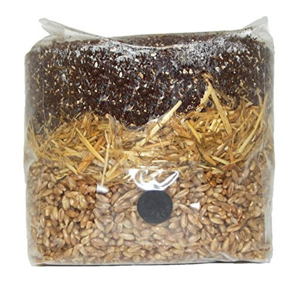 All in One Mushroom Grow Bag