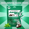 thumbnail image 6 of EVERYDAY JOE Dental Floss Picks, Fresh Mint Flavor, 300 Count, 6 of 7