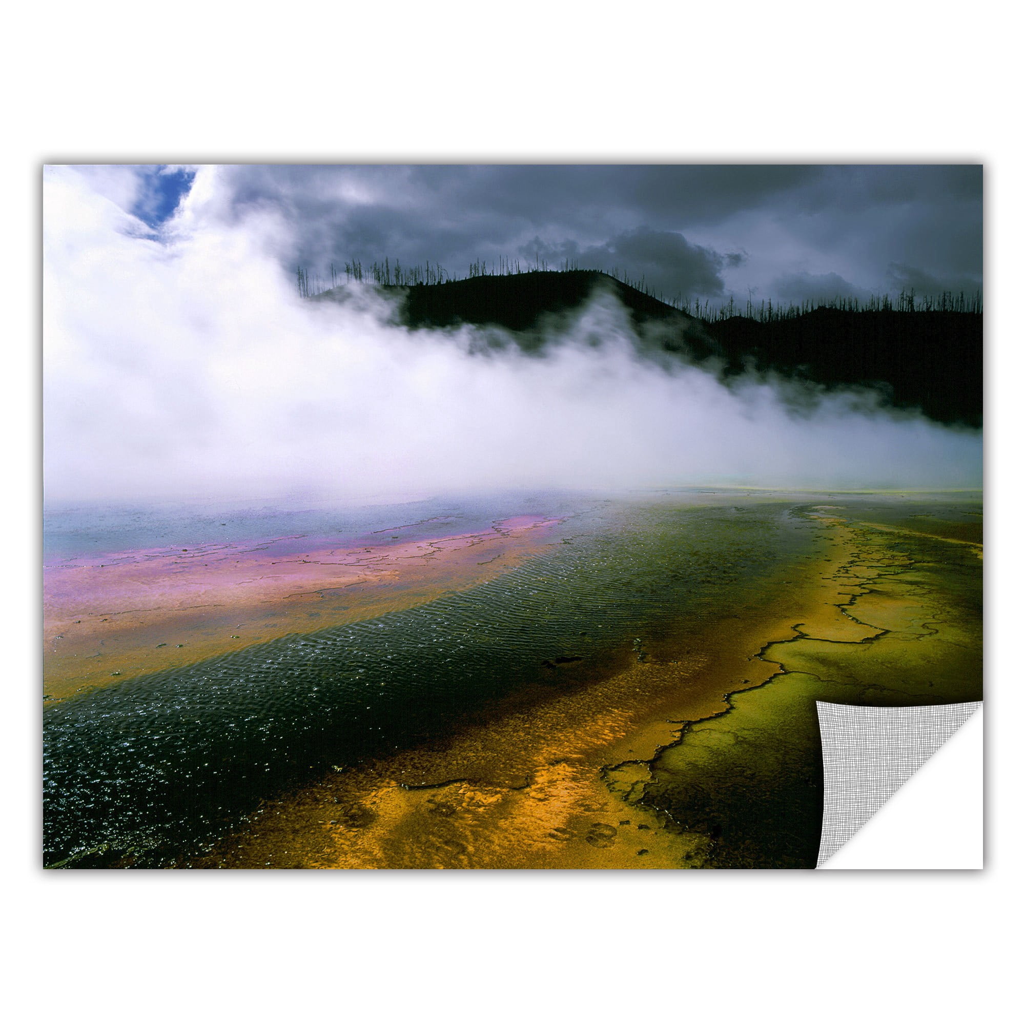 Dean Uhlinger Approaching Storm, Art Appeelz Removable Wall Art Graphic