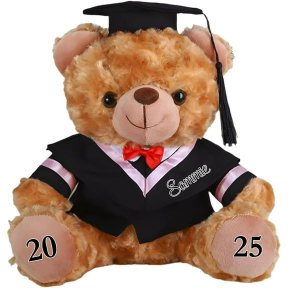 Personalized Graduation Bear Decoration, New Custom Name Year Embroidery, 10 Inch Soft Plush Stuffed Animal Gift for Girls Boys High School College Kindergarten, Brown Cap Gown Diploma Keepsake