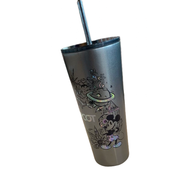 Disney Starbucks Epcot Icons Metal Tumbler Cup with Straw New