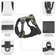 thumbnail image 6 of Bingfone Lemons On Striped No Pull Dog Vest Harness For Small Medium Large Dogs Strap For Puppy Walking,Training,Dog Harness-Small, 6 of 9