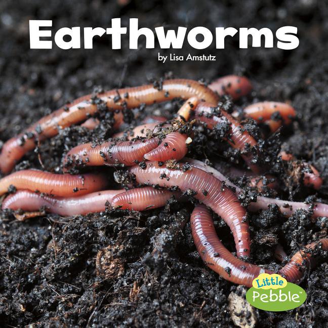 Little Critters Earthworms, (Paperback)