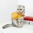 thumbnail image 4 of CIYISON Cat Chinese New Year Costume Cape Spring Festival Dog Cloak Dress Up Clothing Festival Costume Photo Outfit for Pets, 4 of 19