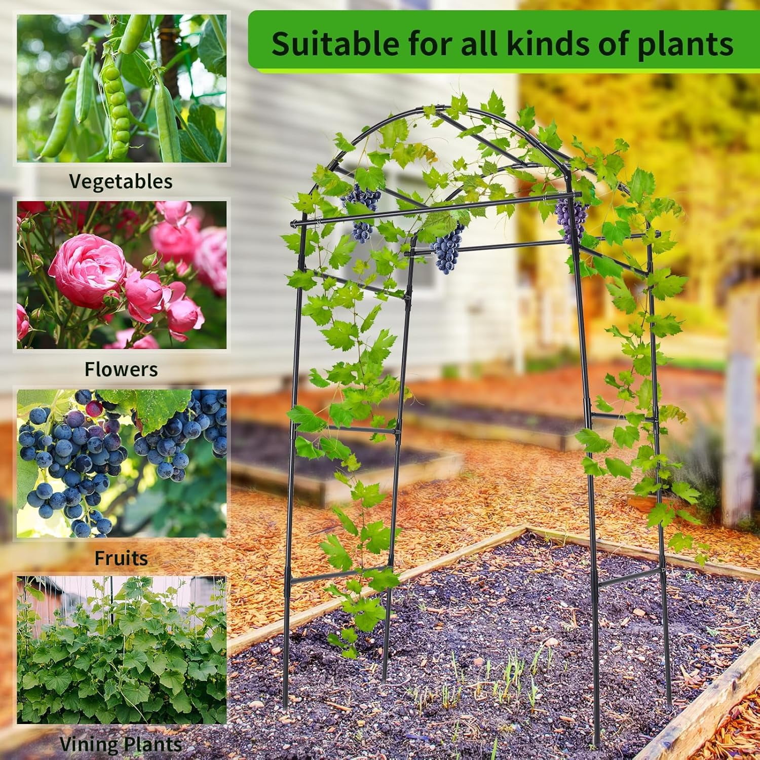 Cucumber Trellis, 6.7ft Tall Garden Arch for Climbing Plants Outdoor  Support Vine Vegetable Tomato Bean Pea Grape Squash Pumpkin Raised Bed Lightweight Black