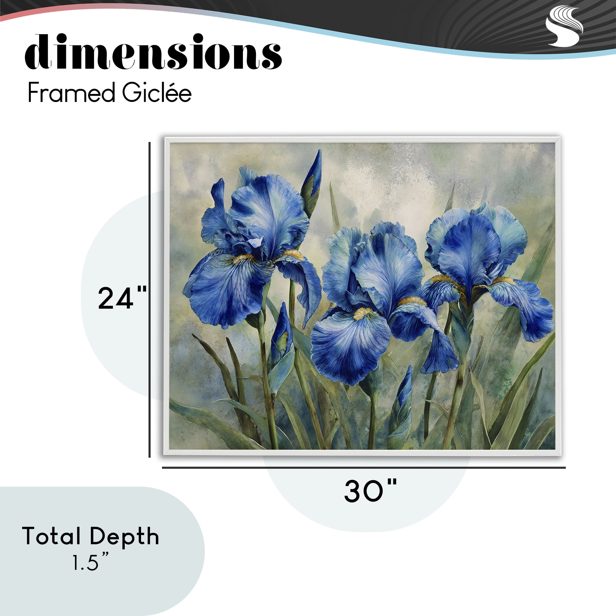 Stupell Industries Drawn Blue Iris Flowers White Framed Giclee Art, design by Franklyn Gregory