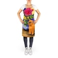 thumbnail image 2 of Carolines Treasures SS8543APRON Brussels Griffon Apron Large multicolor, 2 of 4