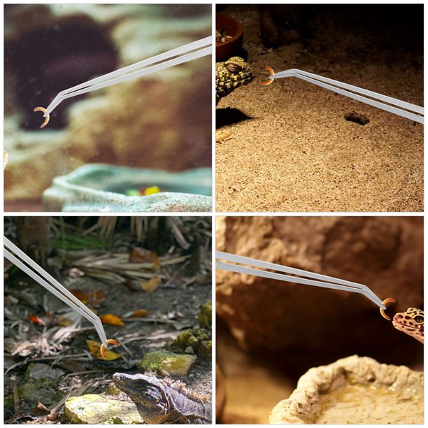 VERDANVERSE 2Ud Pinzas Para Reptiles De Metal Plata Extra Largas Con Punta Curva Y Recta