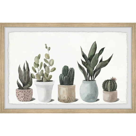 Parvez Taj Ultimate Succulent Collection Framed Painting Print