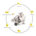 thumbnail image 2 of Pet Toy Cat Toy Interactive Cat Ball Indoor Automatic Rotating Cat Toy, 2 of 5