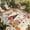 Beige, variant on Fall Outdoor Rug for Patio/Deck/Porch, Non-Slip Large Area Rug 5 x 7 Ft, Orange Pumpkins Thanksgiving Gnomes Autumn Maple Leaf Indoor Outdoor Rugs Washable Area Rugs, Camping Rug Carpet Runner