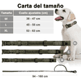 thumbnail image 5 of Collar Y Cuerda Para Perros talla MEDIANA Belug, Verde militar, 5 of 5
