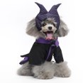 thumbnail image 4 of KAKOWELY 1 juego de ropa para mascotas con temática de Halloween, divertido disfraz de bruja para cachorros., 4 of 4