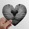 thumbnail image 1 of Animal Gato fotografía dispara la foto Calcomanías cardíacas,calcomanías para equipaje, 1 of 3