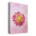 thumbnail image 2 of Exotic Flower Burst I Premium Gallery Wrapped Canvas - Ready to Hang, 2 of 9