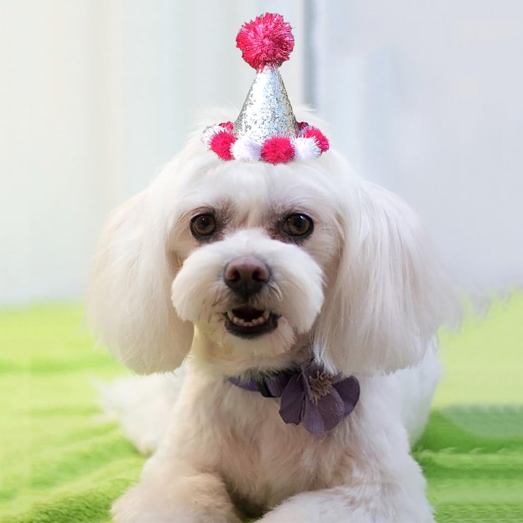 Dog party hat outlet