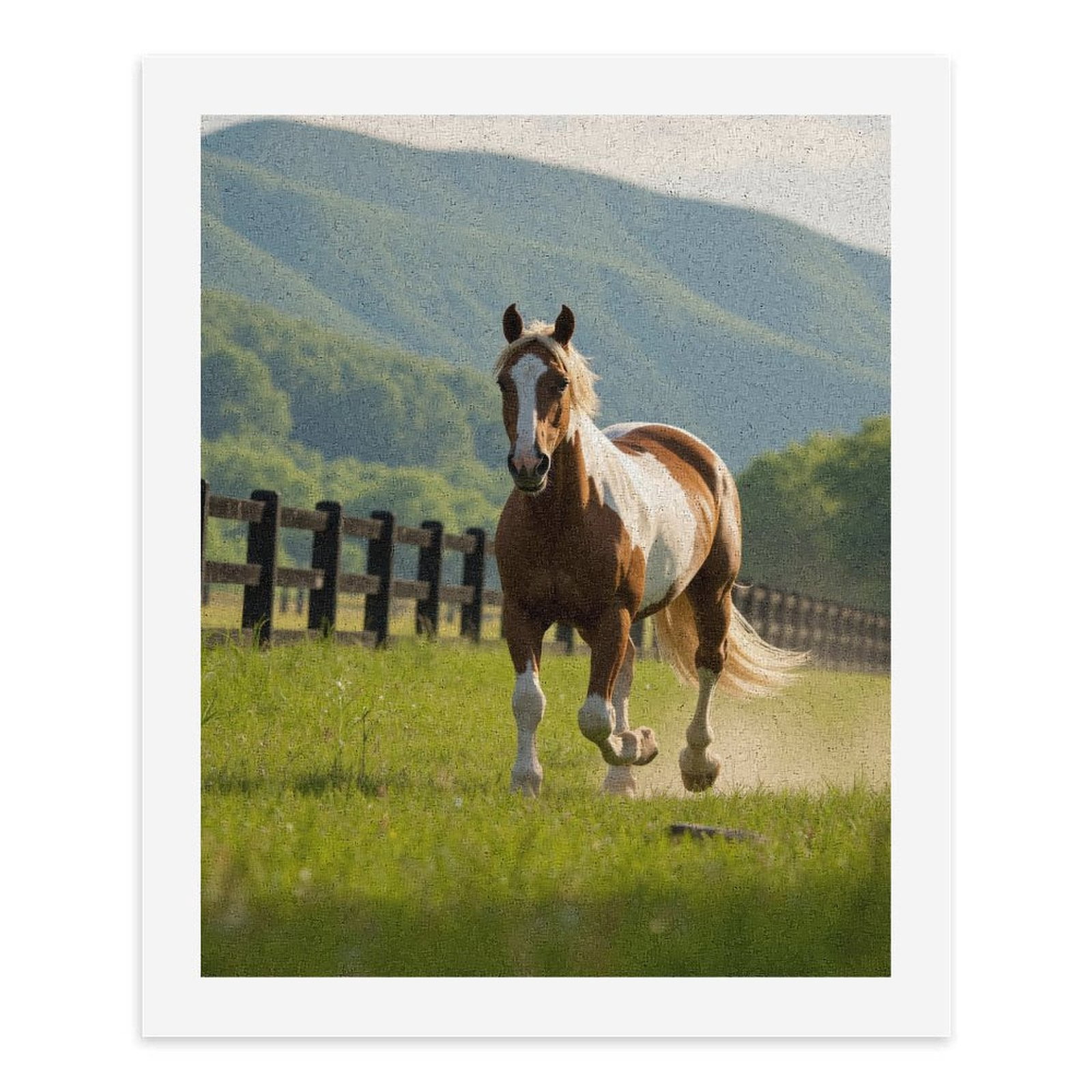 Paint by Numbers Kit for Adults, Horse Galloping Sunlit Meadow Paint by Numbers, Easy Paint by Numbers Kit for Adults Beginner, DIY Adult Paint by Number Kits on Canvas, 12x16in Home Decor