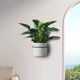 thumbnail image 4 of unbranded 2Ud Soporte De Hierro Negro Para Macetas Montado En Pared Resistente, 4 of 8
