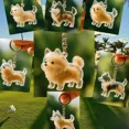 thumbnail image 3 of Pet Cat Hair Collection Pendant Hair Storage Box Bag Charm Pet Pendant Transparent Hair Storage Capsule Dog Cat Souvenirs Gift, 3 of 5