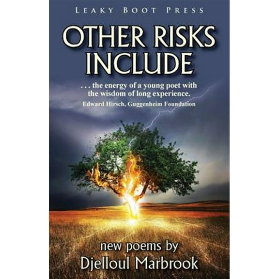 Other Risks Include (Paperback)