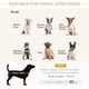 thumbnail image 3 of HOWEN Luxury Fancy Dog Couch with Hidden Storage, Small Dog Sofa Bed with 2" Soft Foam, Modern Pet Furniture for Puppies & Little Breeds, Pale Gray, 3 of 18