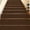 Brown, variant on Pentantan Stair Treads for Wooden Steps, 15 Pack 8"x30" Non-Slip Stair Treads, Indoor Machine Washable Stair Runners for Elders and Pets, Beige