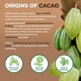 thumbnail image 2 of NaturaleBio Organic Cacao Powder – Unsweetened Cocoa Powder, 14 oz, Gluten-Free & Vegan, 2 of 9
