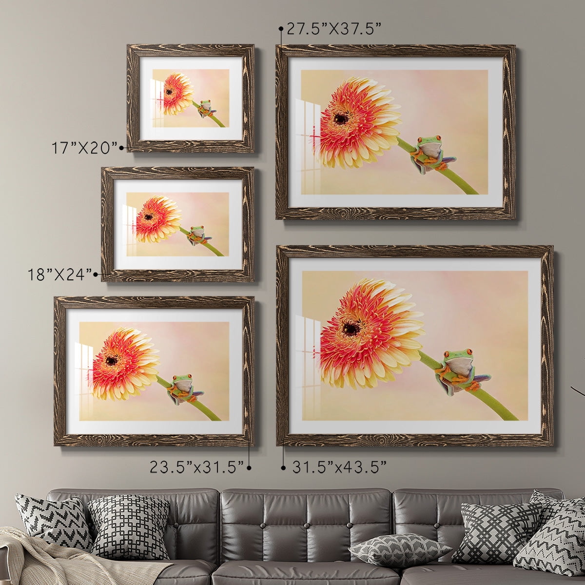 Hanging On IX-Premium Framed Print - Ready to Hang