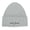 Silver, variant on Adult Graphic Logo Beanie