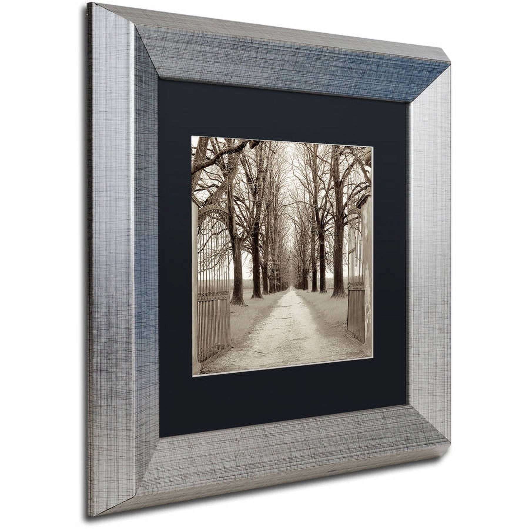 Trademark Fine Art "Veneto Giardini I" Canvas Art by Alan Blaustein, Black Matte, Silver Frame