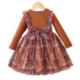thumbnail image 2 of YTDSCS Baby Kids Spring Fall Dresses for Girls，18M-6Y Newborn Long Sleeve Dresses Floral Dresses Toddler Printing Pullover Princess Dresses Mesh Dress Skirt, 2 of 8
