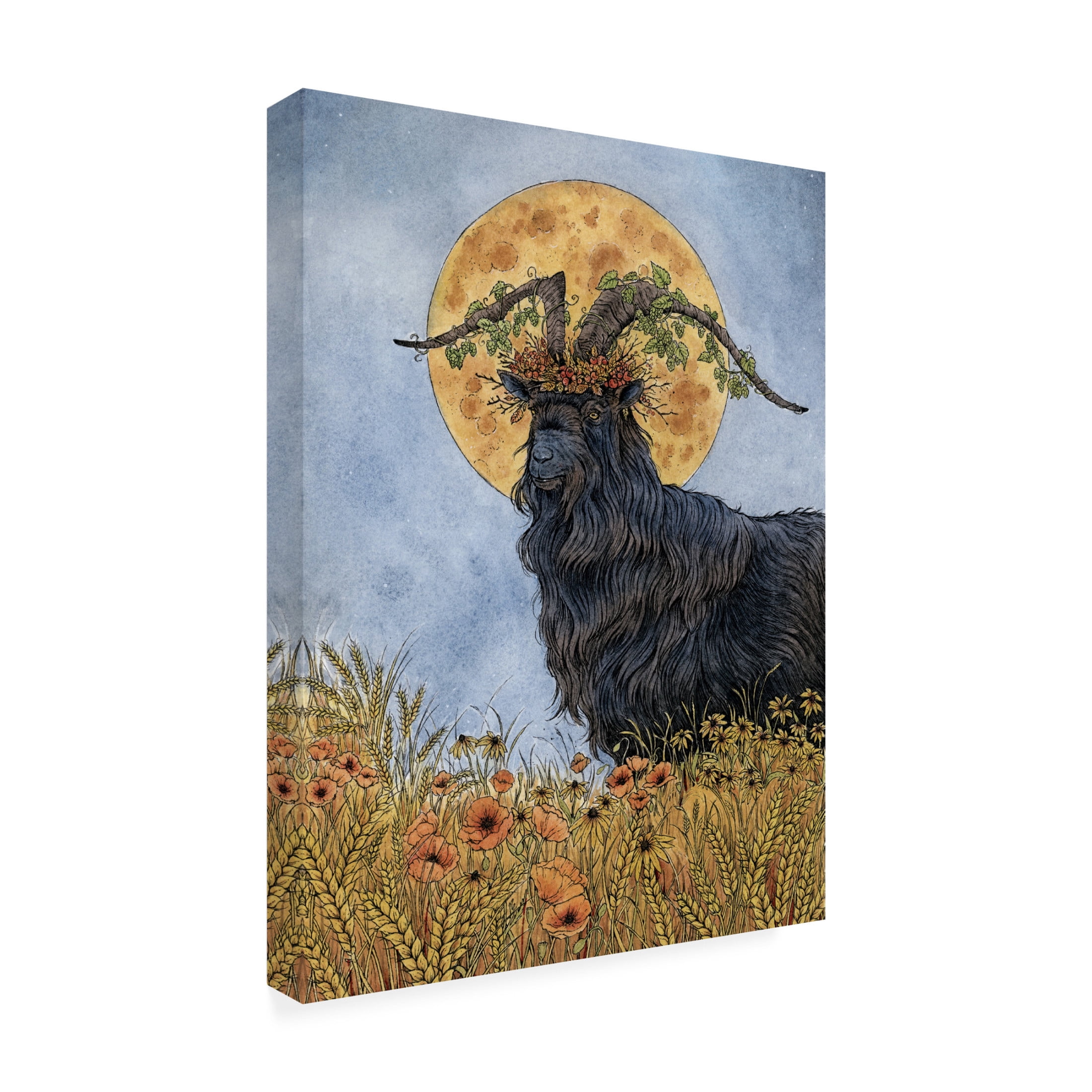 Trademark Fine Art Lea Chaillaud Where the Summer Dies Canvas Wall Art