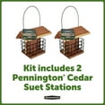 thumbnail image 4 of Pennington Red Cedar 2 Cake Suet Station Wild Bird Suet Feeder, 2 Pack, 4 of 12