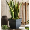 thumbnail image 7 of The HC Companies 12 Inch Eclipse Square Planter with Saucer - Indoor Outdoor Plant Pot for Flowers, Vegetables, and Herbs, Black, 7 of 7