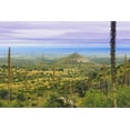 thumbnail image 2 of Paulson, Don 18x13 White Modern Wood Framed Museum Art Print Titled - TX, Guadalupe Mountains NP Mountain Landscape, 2 of 4
