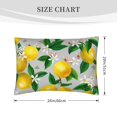 Queen Size Pillows Cases Standard Size 20x26 In Lemon Oil Painting